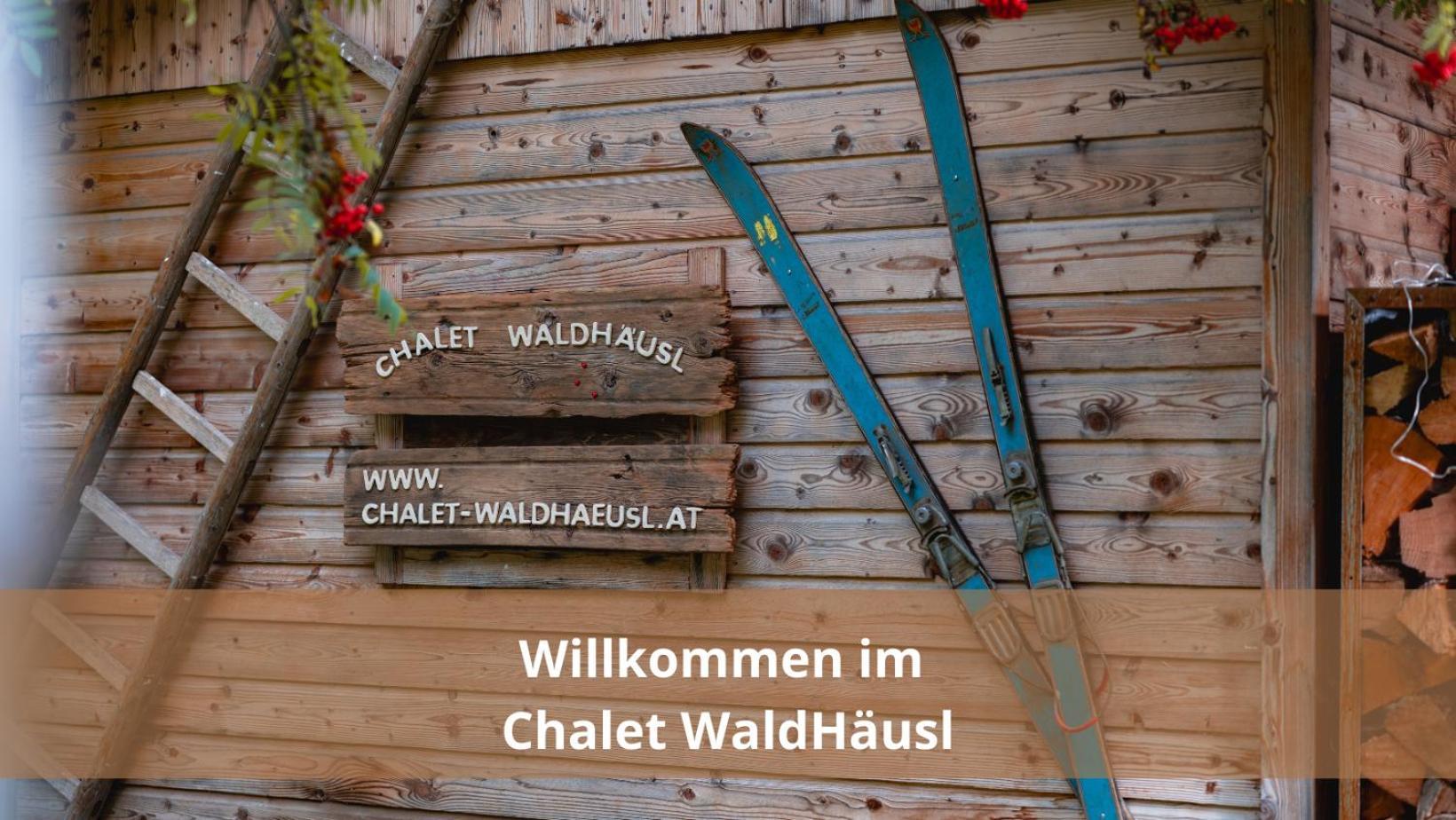 Chalet Waldhaeusl Luxurioese Ferienwohnungen Mit Sauna & Whirlpool, Kamin, Balkon Oder Terrasse Mit Bergblick Heiligenblut Exterior photo
